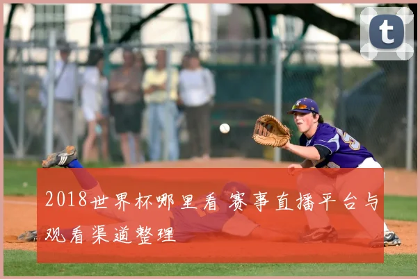 2018世界杯哪里看 赛事直播平台与观看渠道整理