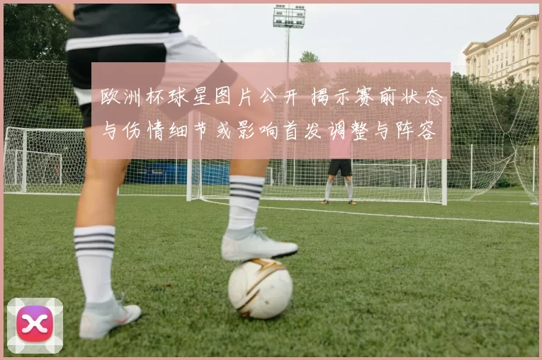 欧洲杯球星图片公开 揭示赛前状态与伤情细节或影响首发调整与阵容选择