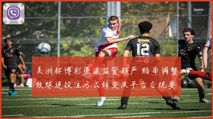 美洲杯博彩渠道监管趋严 赔率调整致球迷投注方式转变及平台合规要求变化